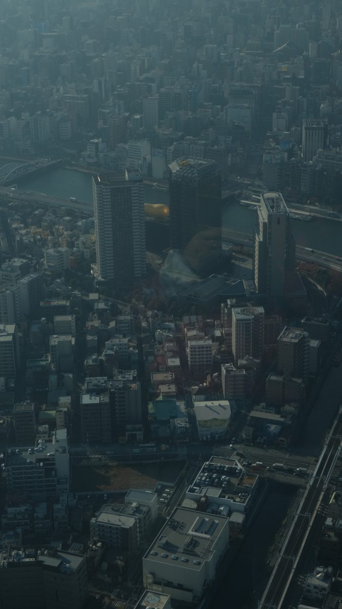 Tokyo dall'alto
