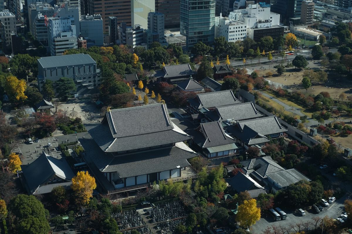 Tempio visto dall'alto