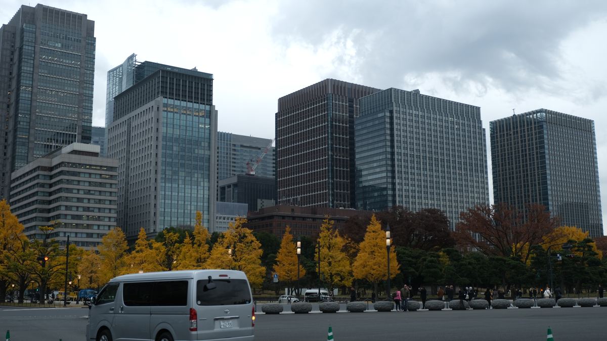 Grattacieli e alberi gialli d'autunno